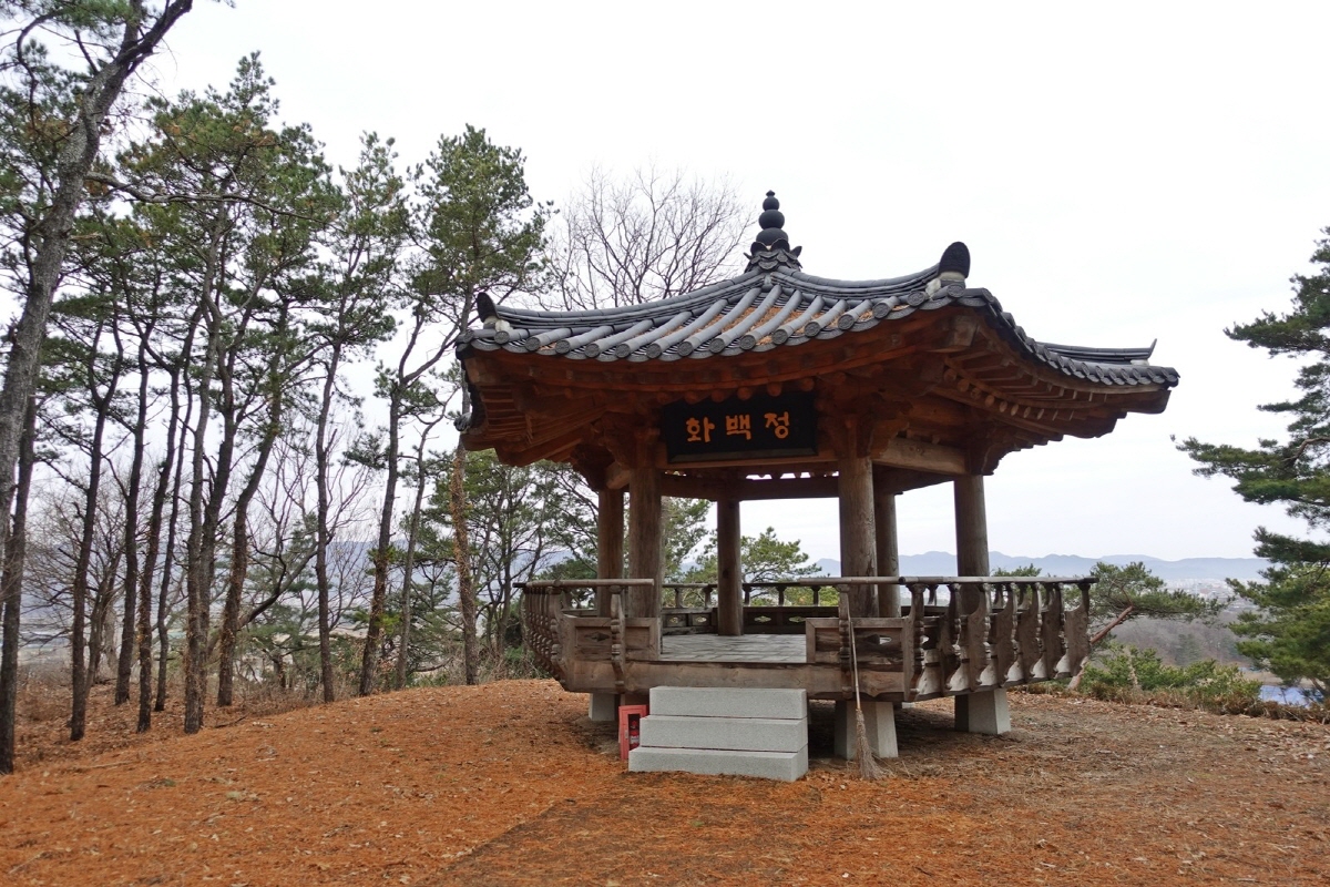 176a264928361d61c8d392f156ff0287_1763069634_61.jpg 176a264928361d61c8d392f156ff0287_1763069634_61.jpg