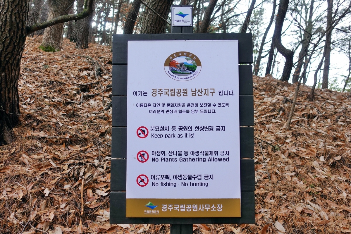 176a264928361d61c8d392f156ff0287_1763069634_8.jpg 176a264928361d61c8d392f156ff0287_1763069634_8.jpg