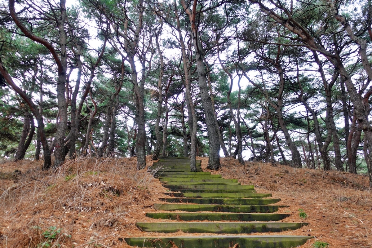 176a264928361d61c8d392f156ff0287_1763069635_57.jpg 176a264928361d61c8d392f156ff0287_1763069635_57.jpg