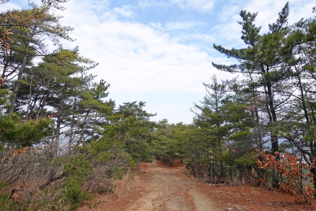 176a264928361d61c8d392f156ff0287_1763069635_74.jpg 176a264928361d61c8d392f156ff0287_1763069635_74.jpg