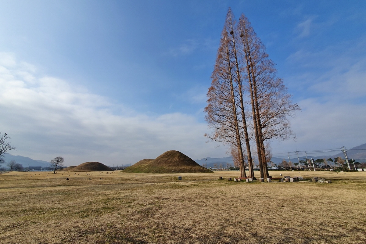 176a264928361d61c8d392f156ff0287_1763076554_35.jpg 176a264928361d61c8d392f156ff0287_1763076554_35.jpg