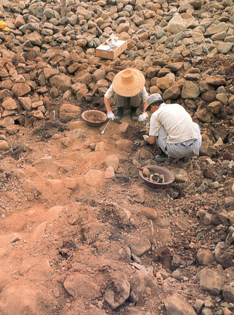 176a264928361d61c8d392f156ff0287_1763076582_03.jpg 176a264928361d61c8d392f156ff0287_1763076582_03.jpg