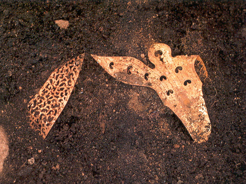 176a264928361d61c8d392f156ff0287_1763076582_32.jpg 176a264928361d61c8d392f156ff0287_1763076582_32.jpg