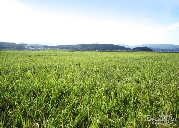 176a264928361d61c8d392f156ff0287_1763078228_82.jpg 176a264928361d61c8d392f156ff0287_1763078228_82.jpg