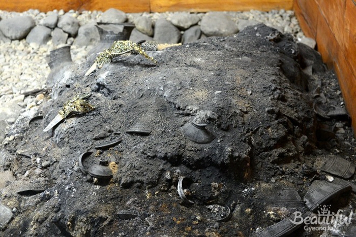 176a264928361d61c8d392f156ff0287_1763080166_48.jpg 176a264928361d61c8d392f156ff0287_1763080166_48.jpg