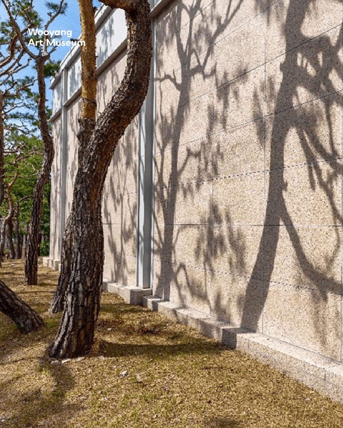 25a4355eb8bf369c6c6ea6f51fe7c253_1762982729_1.jpg 25a4355eb8bf369c6c6ea6f51fe7c253_1762982729_1.jpg