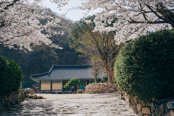 3060f16bc75d969d172ec640c90511ba_1763599385_83.jpg 3060f16bc75d969d172ec640c90511ba_1763599385_83.jpg