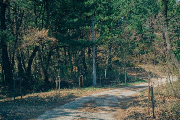 3060f16bc75d969d172ec640c90511ba_1763599826_8.jpg 3060f16bc75d969d172ec640c90511ba_1763599826_8.jpg