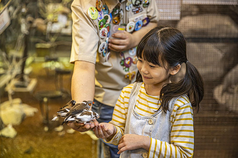 339b7843d0d5dcfba85c783d7ee9d139_1762903843_04.jpg 339b7843d0d5dcfba85c783d7ee9d139_1762903843_04.jpg