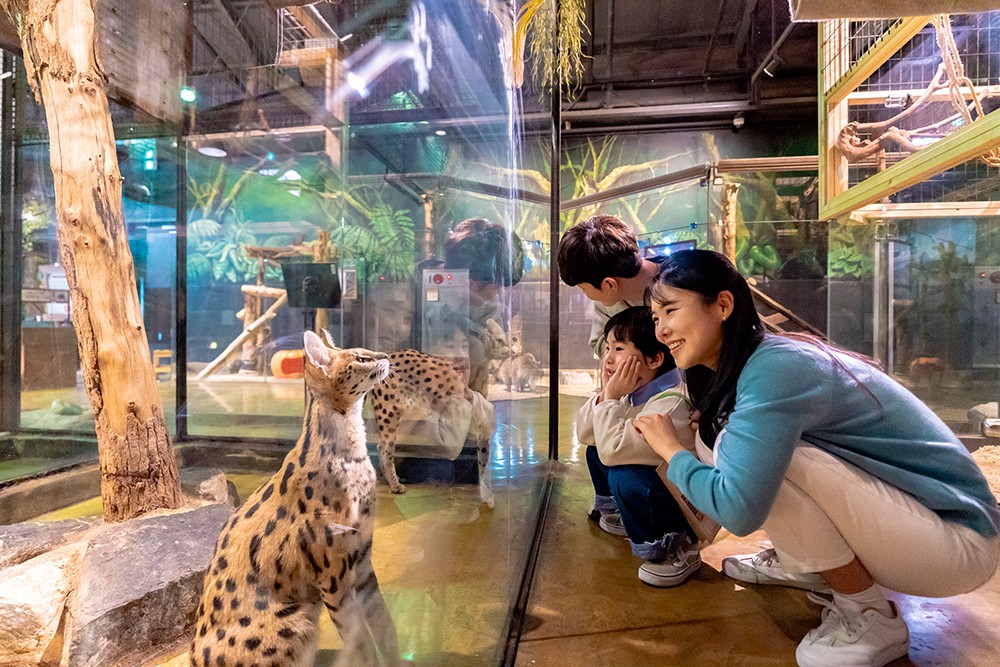 339b7843d0d5dcfba85c783d7ee9d139_1762903843_68.jpg 339b7843d0d5dcfba85c783d7ee9d139_1762903843_68.jpg