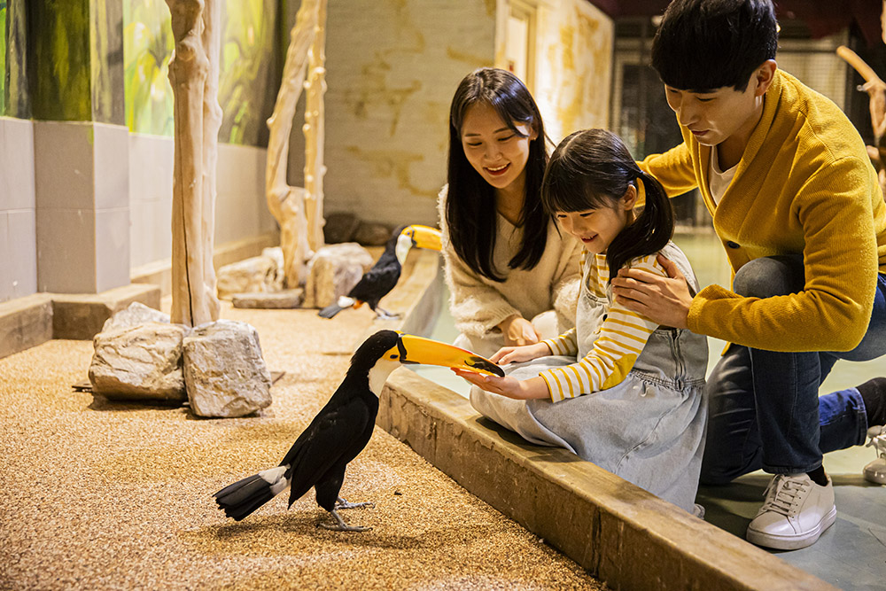 339b7843d0d5dcfba85c783d7ee9d139_1762903844_01.jpg 339b7843d0d5dcfba85c783d7ee9d139_1762903844_01.jpg