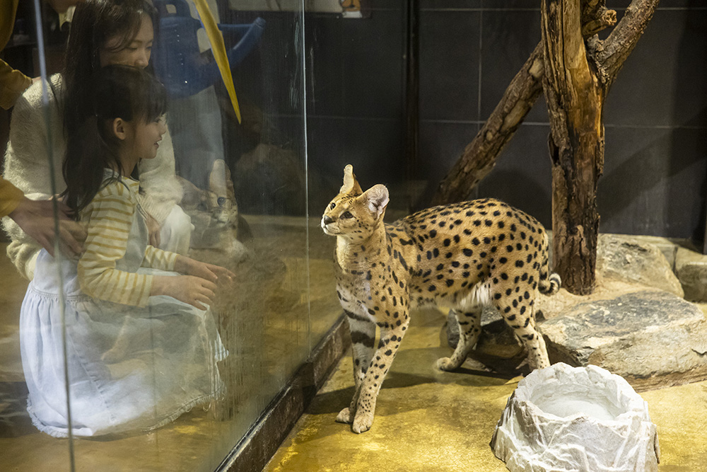 339b7843d0d5dcfba85c783d7ee9d139_1762903844_4.jpg 339b7843d0d5dcfba85c783d7ee9d139_1762903844_4.jpg