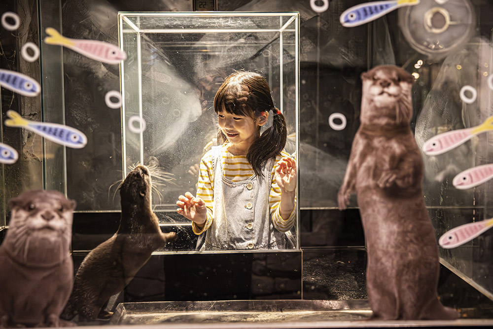 339b7843d0d5dcfba85c783d7ee9d139_1762903844_76.jpg 339b7843d0d5dcfba85c783d7ee9d139_1762903844_76.jpg