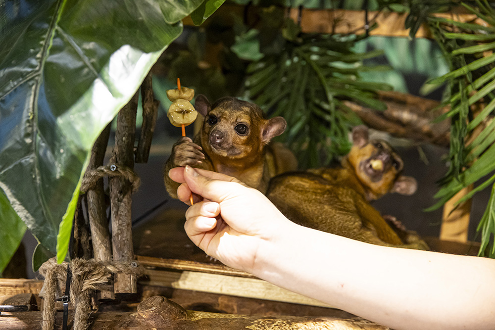 339b7843d0d5dcfba85c783d7ee9d139_1762903844_86.jpg 339b7843d0d5dcfba85c783d7ee9d139_1762903844_86.jpg