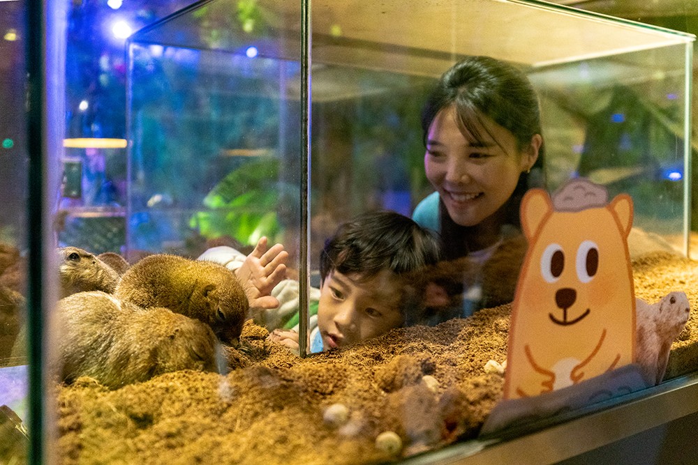 339b7843d0d5dcfba85c783d7ee9d139_1762903845_3.jpg 339b7843d0d5dcfba85c783d7ee9d139_1762903845_3.jpg