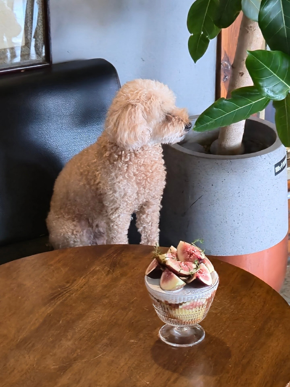 3ee7eb09c18b6162172d6a91c890811f_1762252248_79.jpg 3ee7eb09c18b6162172d6a91c890811f_1762252248_79.jpg