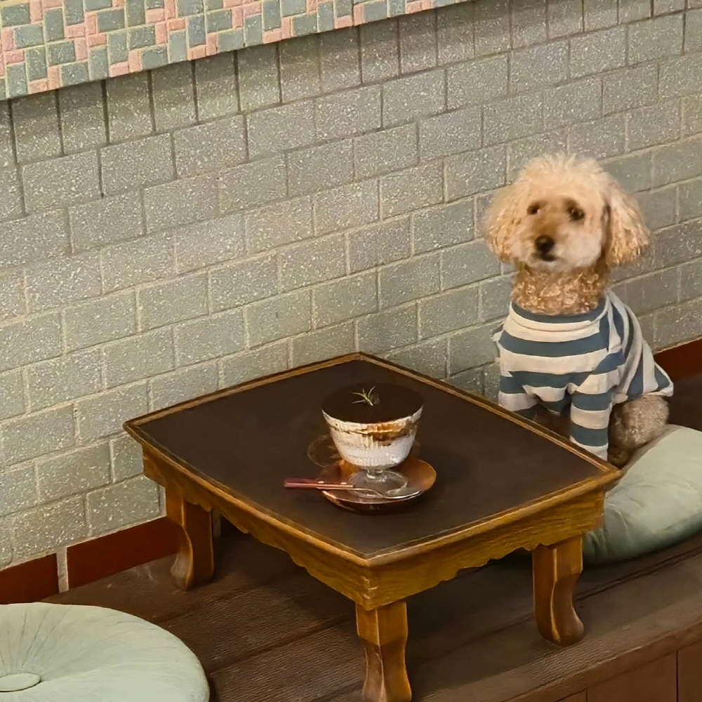 3ee7eb09c18b6162172d6a91c890811f_1762252250_19.jpg 3ee7eb09c18b6162172d6a91c890811f_1762252250_19.jpg