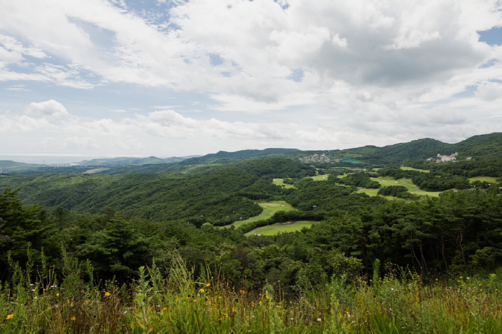 4caa3a198d9ef1c03a7d5cc3359b8ef5_1764079498_45.jpg 4caa3a198d9ef1c03a7d5cc3359b8ef5_1764079498_45.jpg