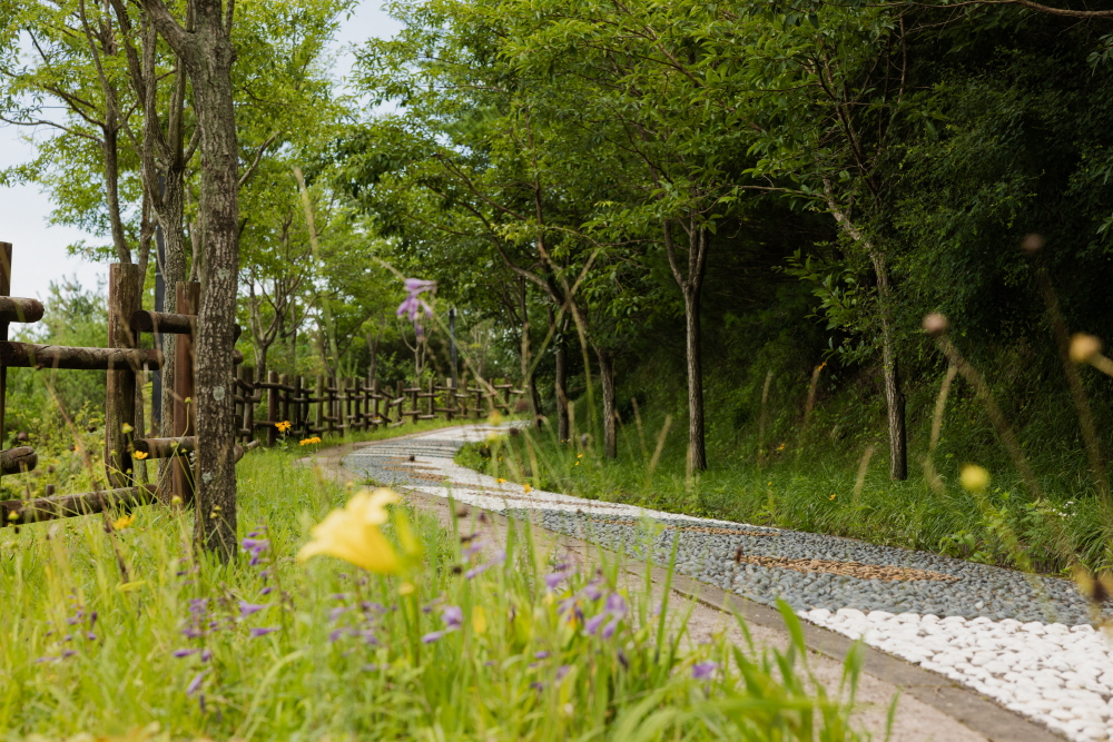 4caa3a198d9ef1c03a7d5cc3359b8ef5_1764079534_48.jpg 4caa3a198d9ef1c03a7d5cc3359b8ef5_1764079534_48.jpg