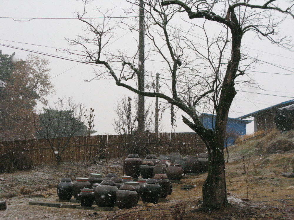 57dbb6d49e0f2e9e694a8c43a68b977b_1763855885_34.jpg 57dbb6d49e0f2e9e694a8c43a68b977b_1763855885_34.jpg