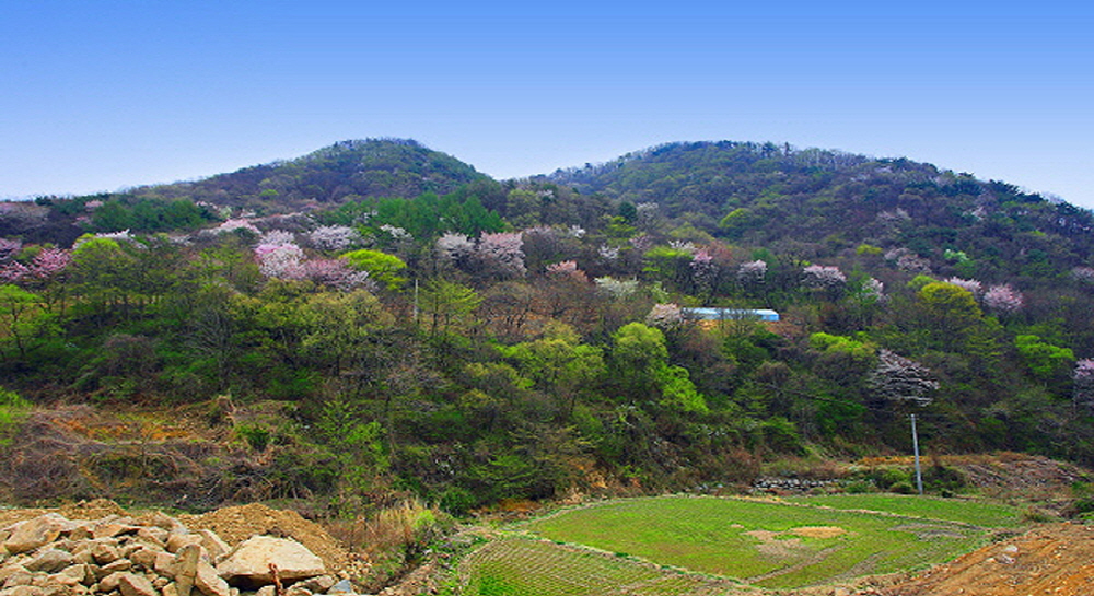 57dbb6d49e0f2e9e694a8c43a68b977b_1763857064_36.jpg 57dbb6d49e0f2e9e694a8c43a68b977b_1763857064_36.jpg