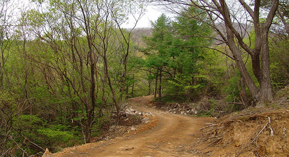 57dbb6d49e0f2e9e694a8c43a68b977b_1763857064_89.jpg 57dbb6d49e0f2e9e694a8c43a68b977b_1763857064_89.jpg