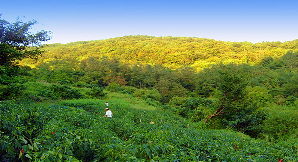 57dbb6d49e0f2e9e694a8c43a68b977b_1763857065_33.jpg 57dbb6d49e0f2e9e694a8c43a68b977b_1763857065_33.jpg