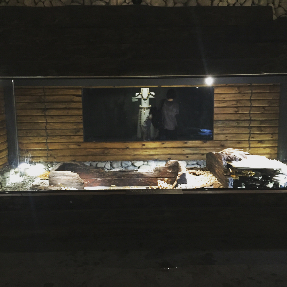 5ac247789423b9353c97c2589e939baa_1763150813_69.jpg 5ac247789423b9353c97c2589e939baa_1763150813_69.jpg