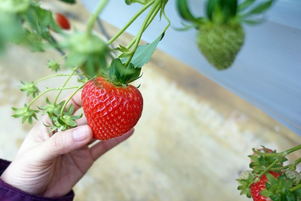 6c947694797e99e363ab6d6ea2f246a7_1763329768_49.jpg 6c947694797e99e363ab6d6ea2f246a7_1763329768_49.jpg