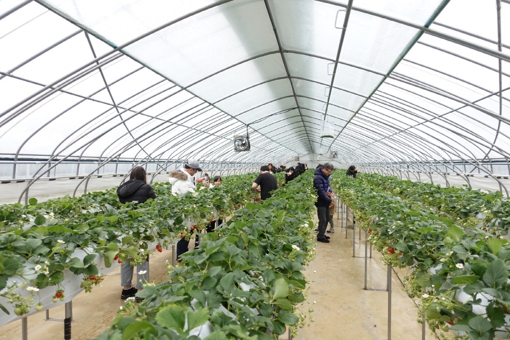 6c947694797e99e363ab6d6ea2f246a7_1763329768_62.jpg 6c947694797e99e363ab6d6ea2f246a7_1763329768_62.jpg