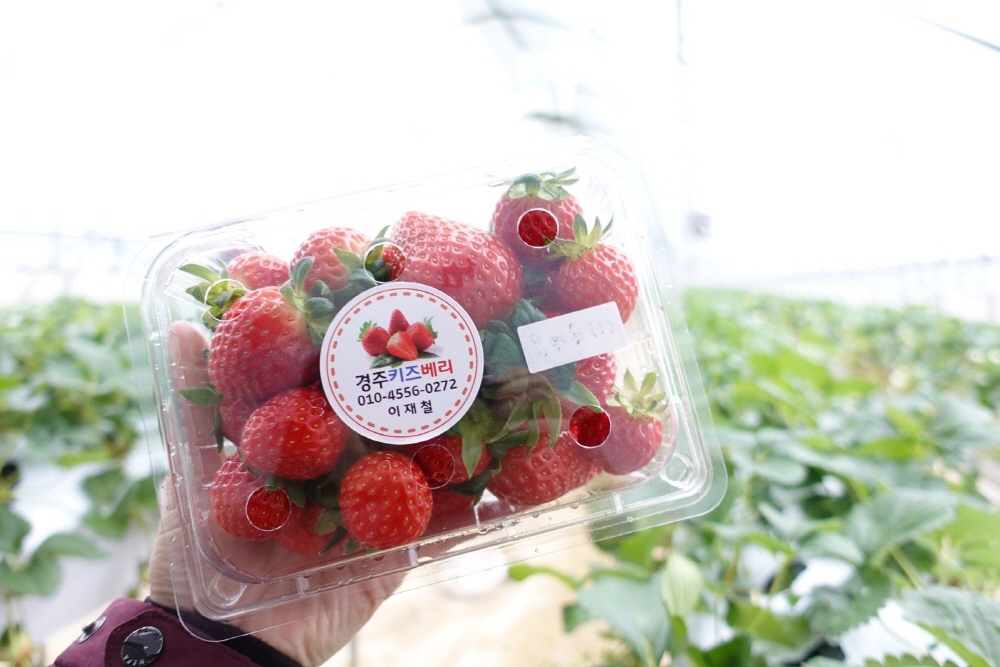 6c947694797e99e363ab6d6ea2f246a7_1763329768_88.jpg 6c947694797e99e363ab6d6ea2f246a7_1763329768_88.jpg