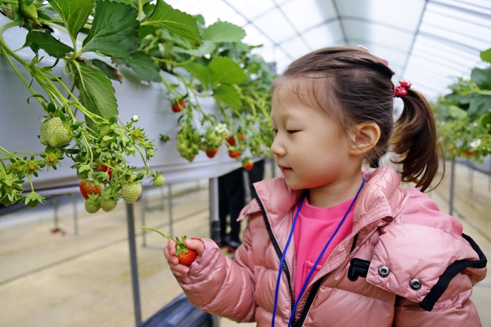 6c947694797e99e363ab6d6ea2f246a7_1763329768_99.jpg 6c947694797e99e363ab6d6ea2f246a7_1763329768_99.jpg