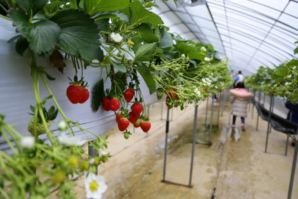 6c947694797e99e363ab6d6ea2f246a7_1763329769_1.jpg 6c947694797e99e363ab6d6ea2f246a7_1763329769_1.jpg