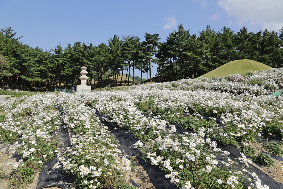 6c947694797e99e363ab6d6ea2f246a7_1763330100_28.jpg 6c947694797e99e363ab6d6ea2f246a7_1763330100_28.jpg