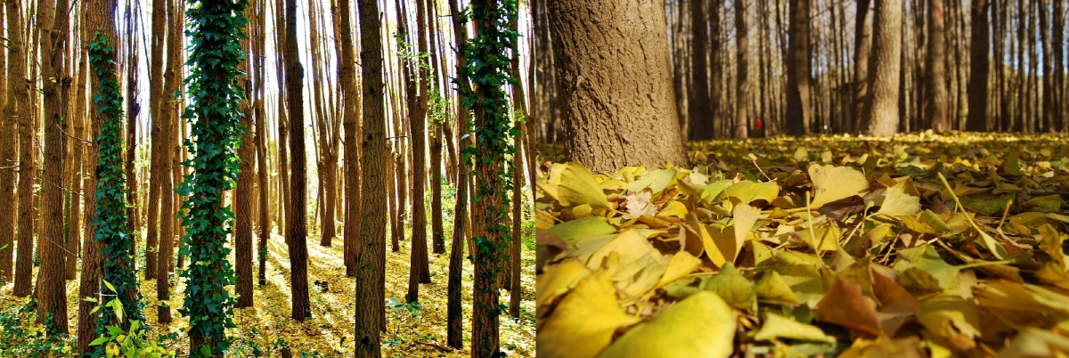 6c947694797e99e363ab6d6ea2f246a7_1763336314_22.jpg 6c947694797e99e363ab6d6ea2f246a7_1763336314_22.jpg