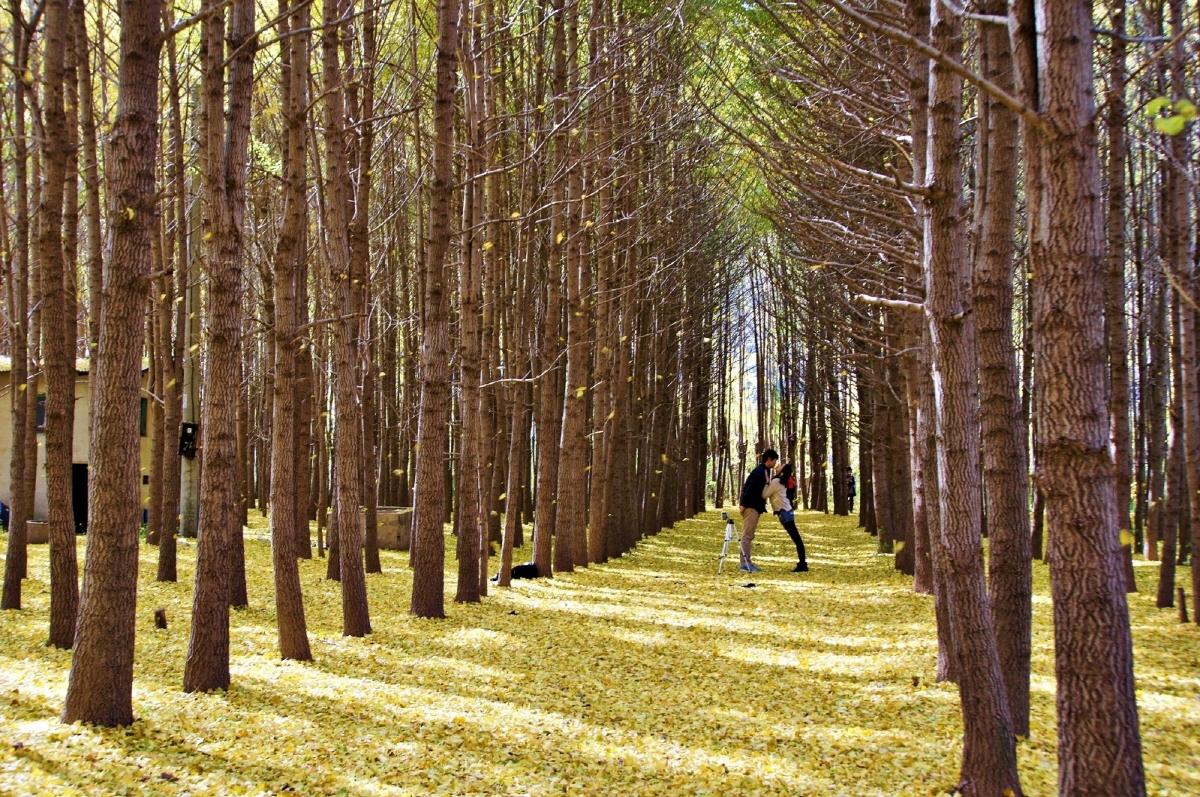 6c947694797e99e363ab6d6ea2f246a7_1763336314_48.jpg 6c947694797e99e363ab6d6ea2f246a7_1763336314_48.jpg