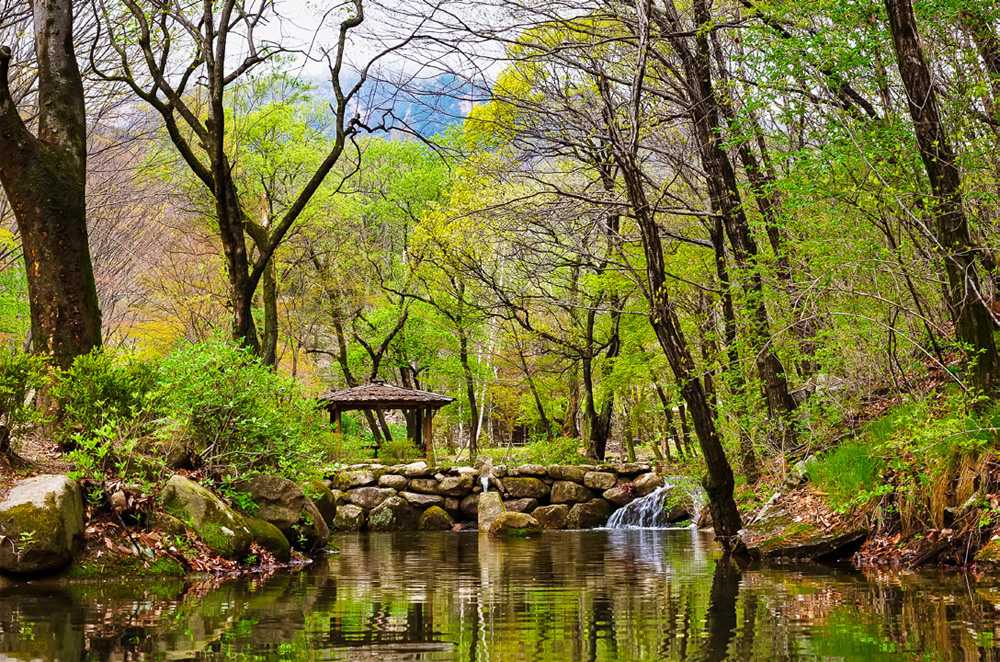 778f7fb579089555e4312d0df727004a_1762163799.jpg 778f7fb579089555e4312d0df727004a_1762163799.jpg