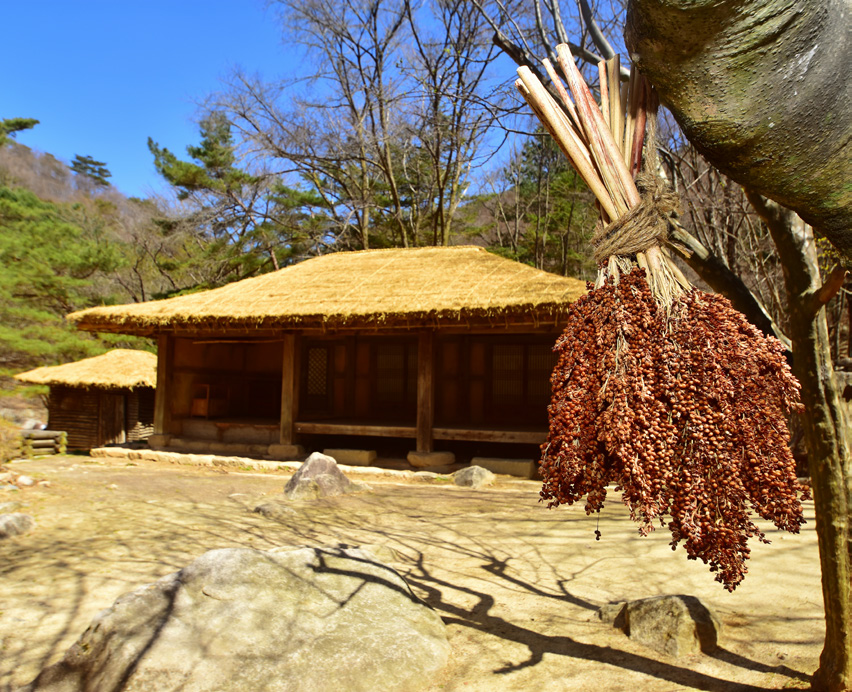 778f7fb579089555e4312d0df727004a_1762164186_17.png 778f7fb579089555e4312d0df727004a_1762164186_17.png