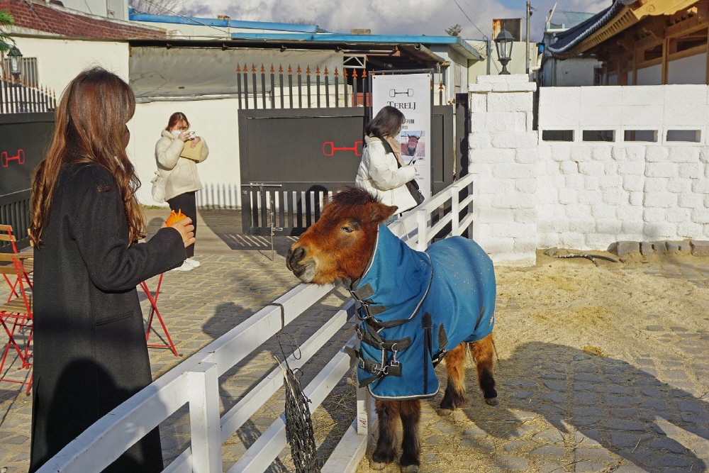 7af6e3c406e113b4c6c3bfc556f88902_1762344338_82.jpg 7af6e3c406e113b4c6c3bfc556f88902_1762344338_82.jpg