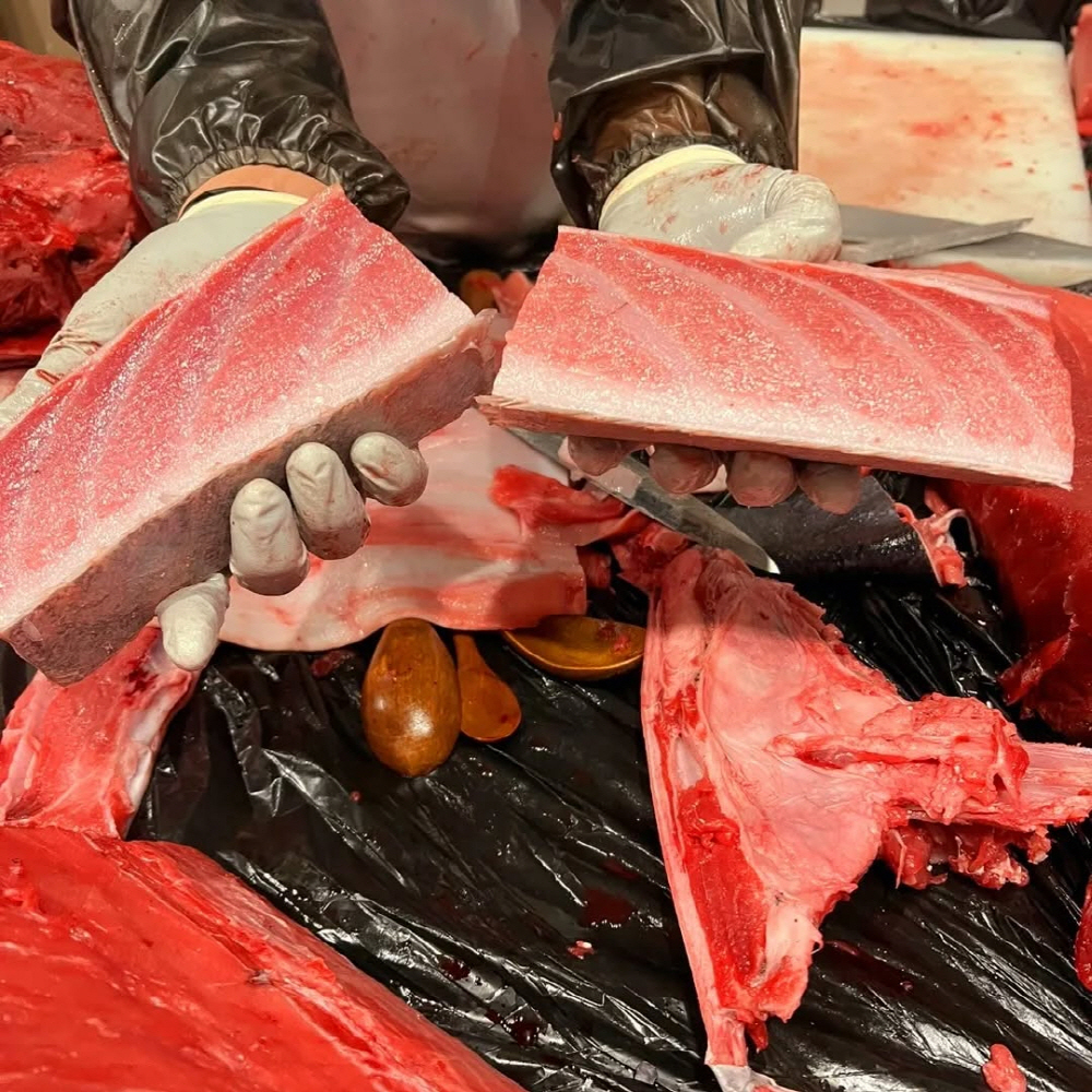 825fb956c2cb678bf45e5bce707b2857_1762732973_47.jpg 825fb956c2cb678bf45e5bce707b2857_1762732973_47.jpg