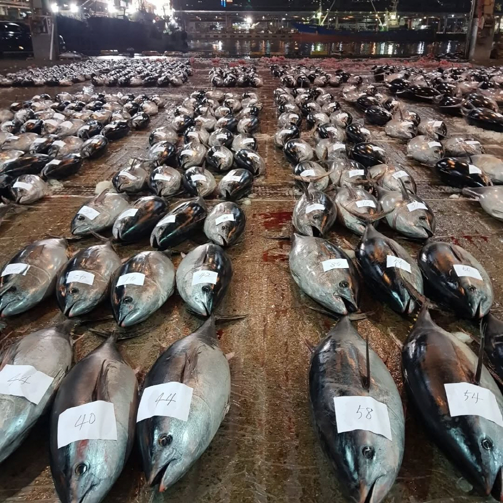 825fb956c2cb678bf45e5bce707b2857_1762732975_52.jpg 825fb956c2cb678bf45e5bce707b2857_1762732975_52.jpg