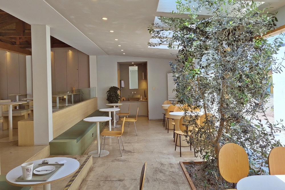 abd771562acfd23c925de240a2867b97_1762290522_53.jpg abd771562acfd23c925de240a2867b97_1762290522_53.jpg