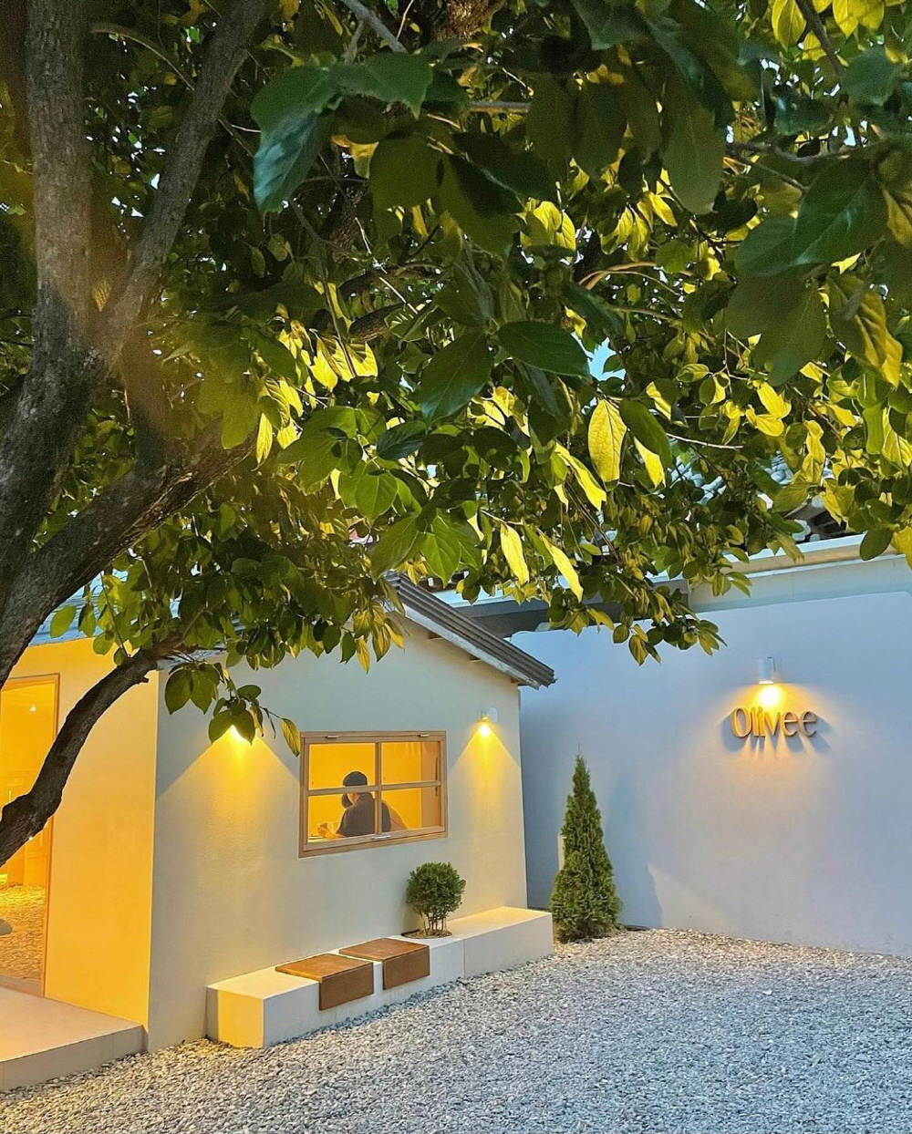 abd771562acfd23c925de240a2867b97_1762290536_95.jpg abd771562acfd23c925de240a2867b97_1762290536_95.jpg