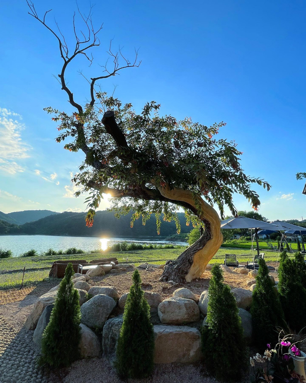 abd771562acfd23c925de240a2867b97_1762293055_27.jpg abd771562acfd23c925de240a2867b97_1762293055_27.jpg