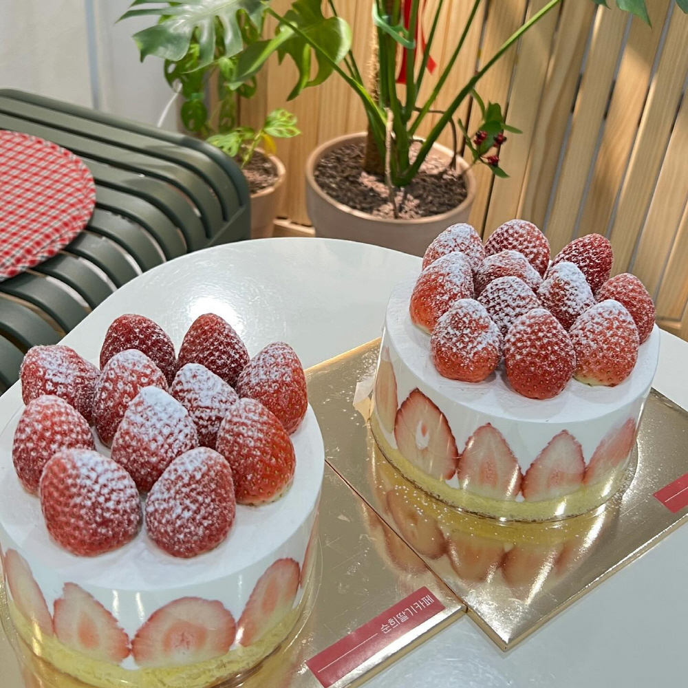 abd771562acfd23c925de240a2867b97_1762296123_46.jpg abd771562acfd23c925de240a2867b97_1762296123_46.jpg