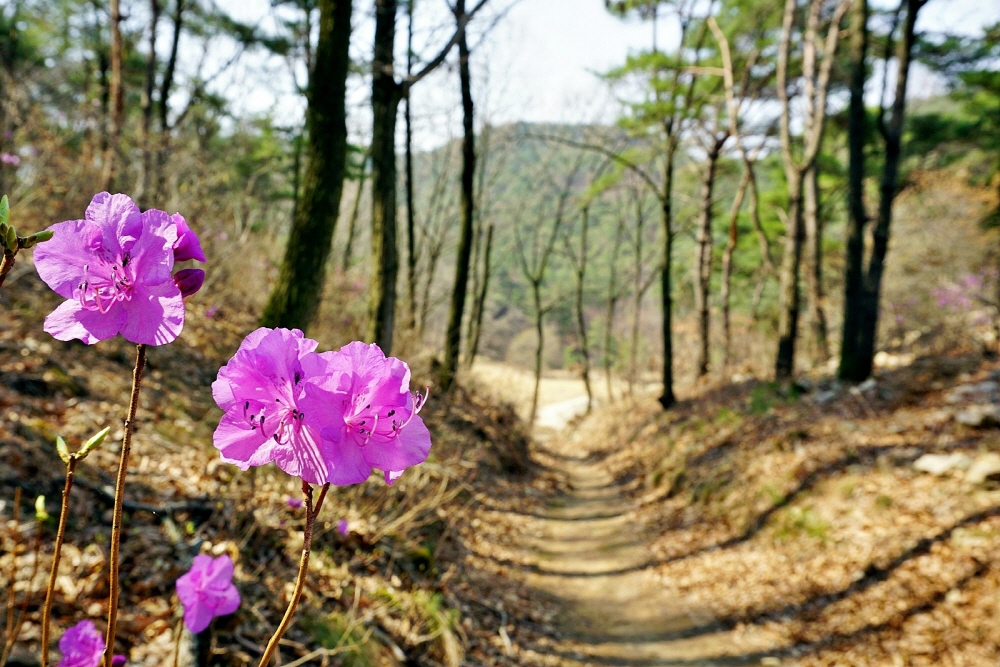 aeed46ea0533bf66f8435c0ebc9b4c47_1762842113_48.jpg aeed46ea0533bf66f8435c0ebc9b4c47_1762842113_48.jpg