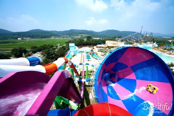 aeed46ea0533bf66f8435c0ebc9b4c47_1762843806_13.jpg aeed46ea0533bf66f8435c0ebc9b4c47_1762843806_13.jpg