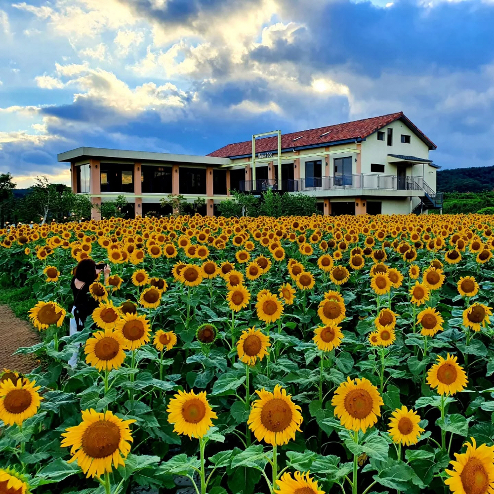 ba98db39699f1aa20462a3bf7c1bb5b7_1762602821_62.jpg ba98db39699f1aa20462a3bf7c1bb5b7_1762602821_62.jpg