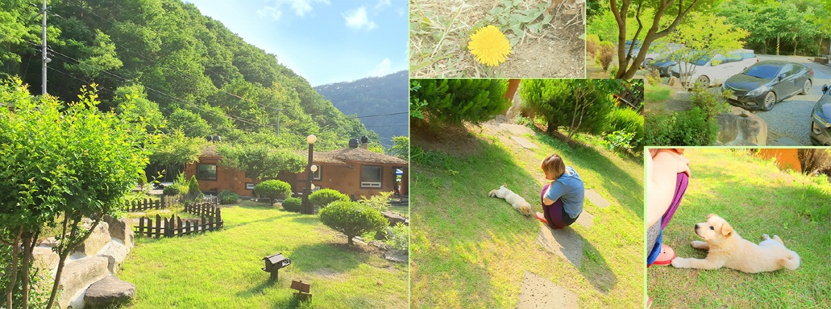 bf555db44d1c8c5b0dd09625389dad15_1762062959_39.jpg bf555db44d1c8c5b0dd09625389dad15_1762062959_39.jpg