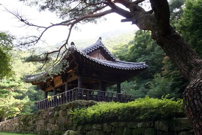 bf555db44d1c8c5b0dd09625389dad15_1762073232_14.jpg bf555db44d1c8c5b0dd09625389dad15_1762073232_14.jpg